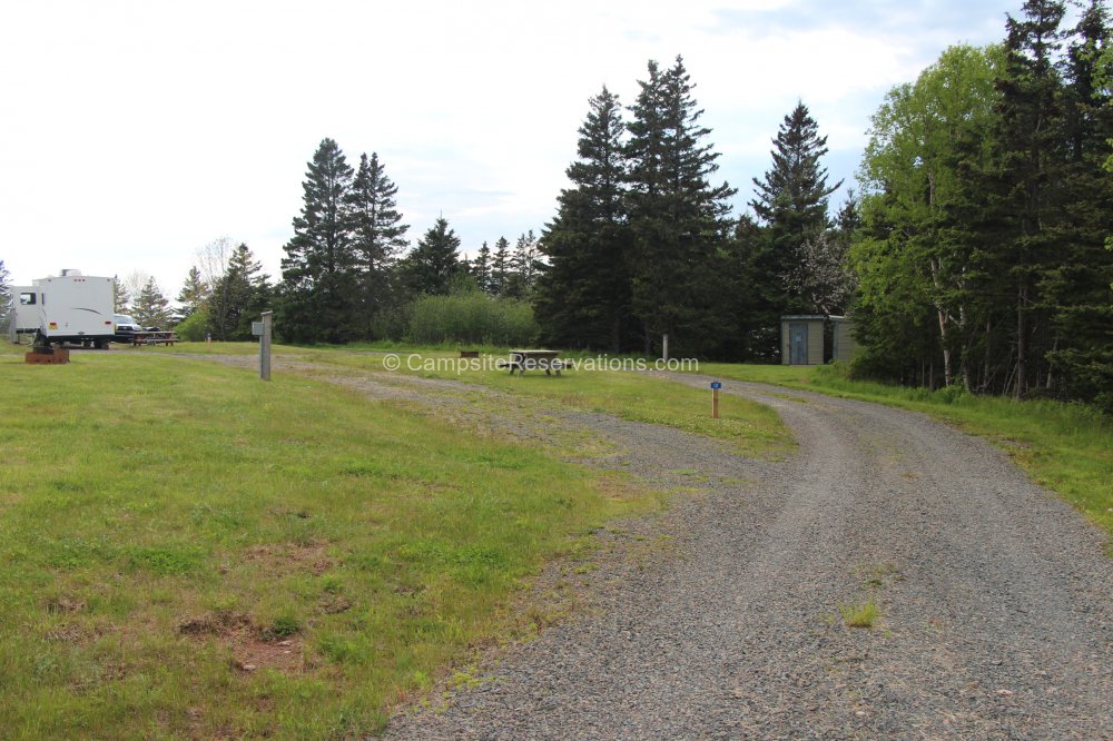 Campsite 12 in Five Islands Provincial Park Campground at Five Islands